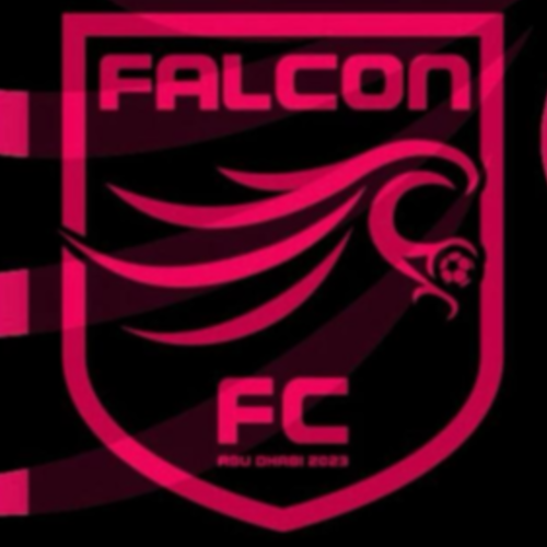 FC Falcon logo